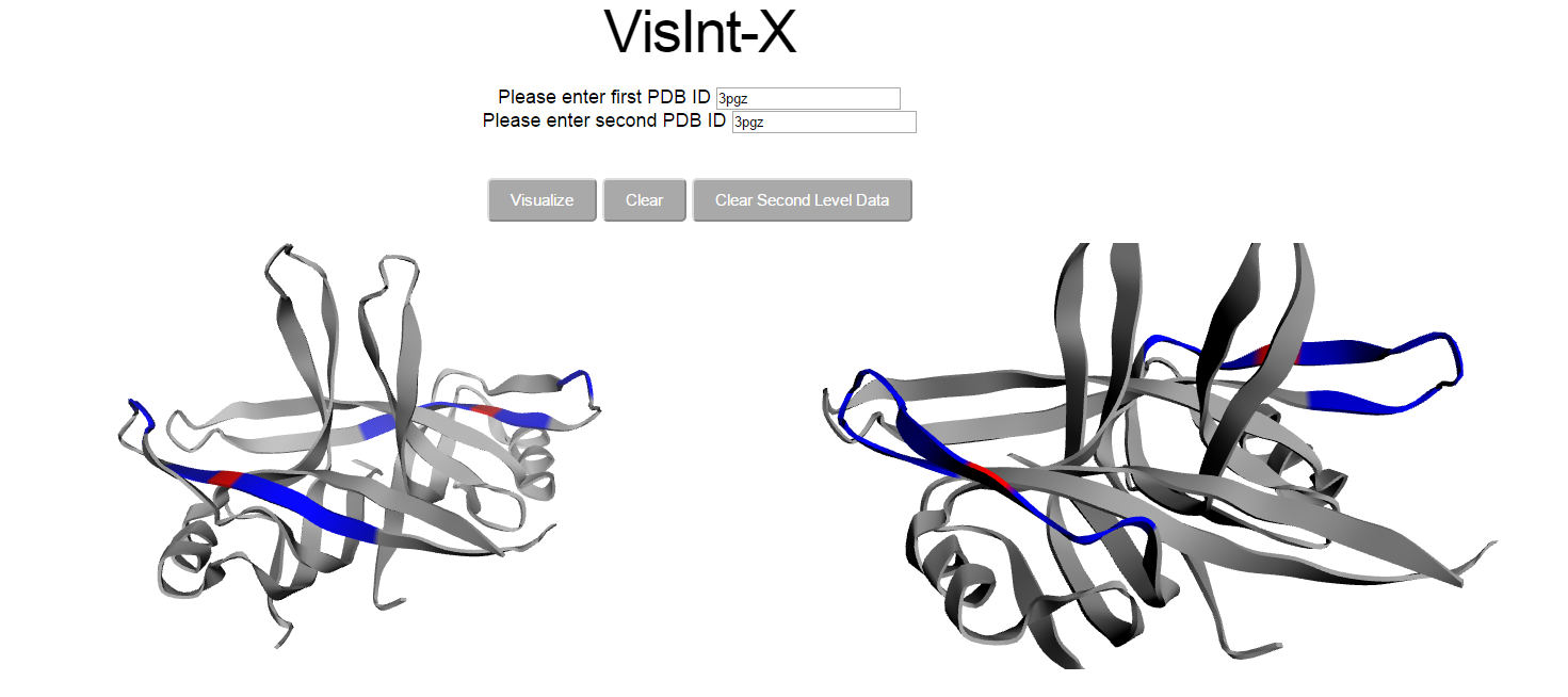 3Dmol.js Dual Protein Structure